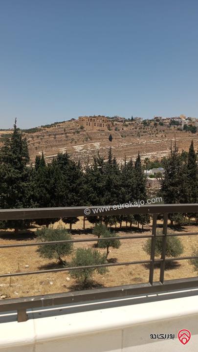 روف طابق ثاني مساحة البناء 110م وخارجي 100م للبيع في عمان –  الفحيص / البلد