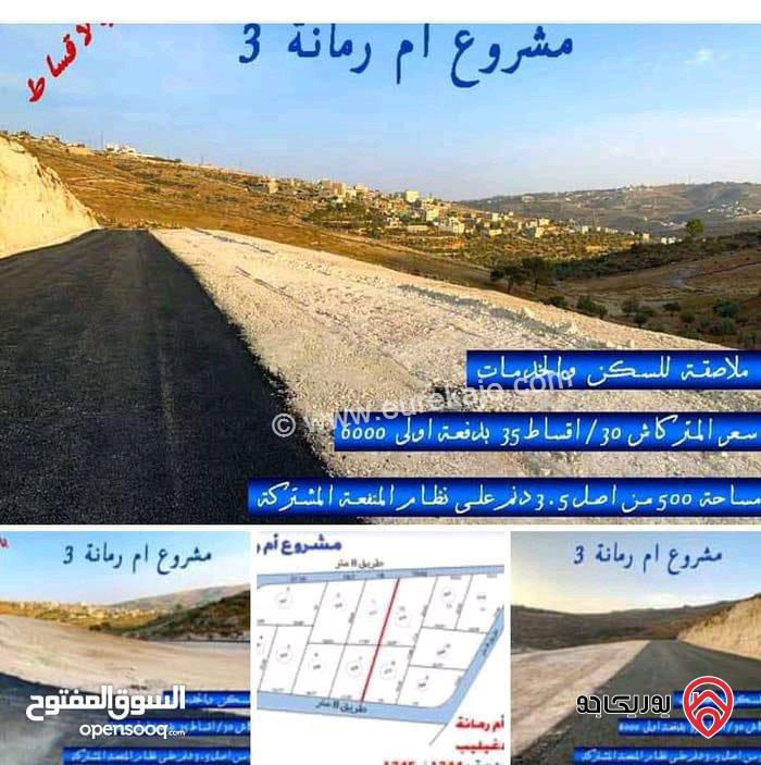 اراضي مساحة 500م للبيع في الزرقاء - جريبا 