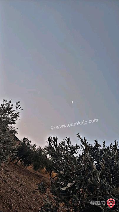 قطع أراضي بمساحات من 450م - 500م للبيع في الزرقاء - بيرين