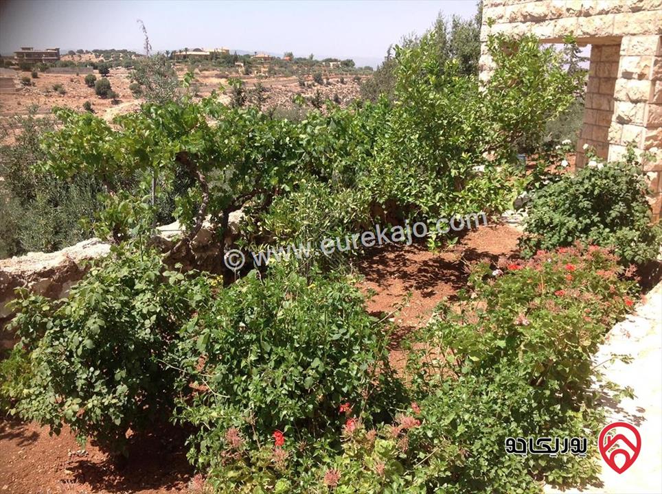 مزرعة مساحة الأرض 10 دونم والبناء 600م للبيع في السلط - أم جوزة