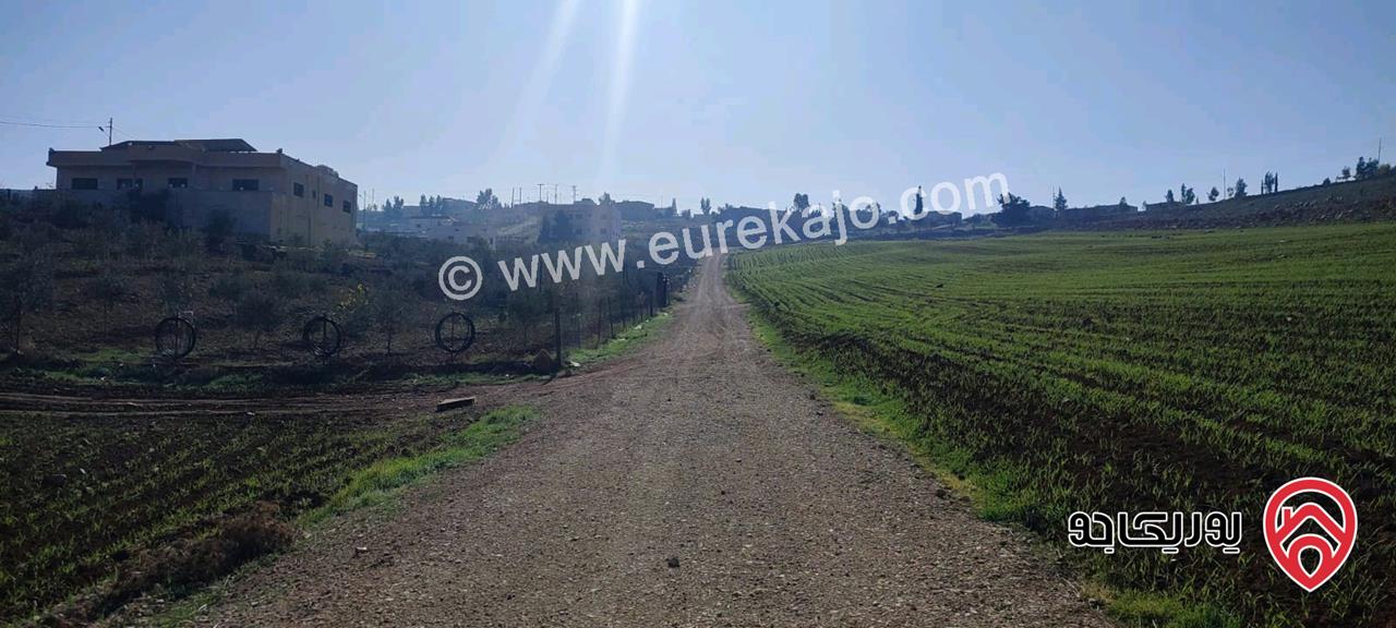 قطعة أرض مساحة 6 دونم و 280م للبيع في مادبا بجانب الجامعة الامريكية