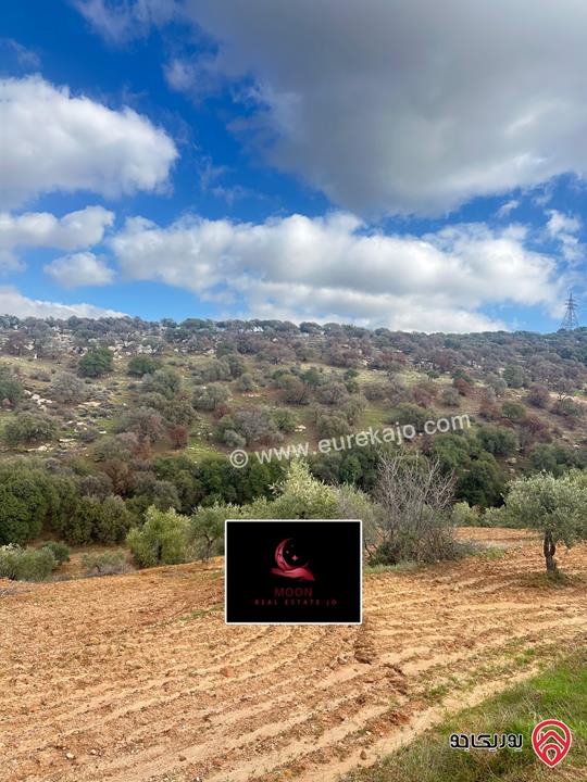 قطعة ارض مساحة 3 دونم و 400م مزروعة زيتون للبيع في السلط الديرة قرب زي 