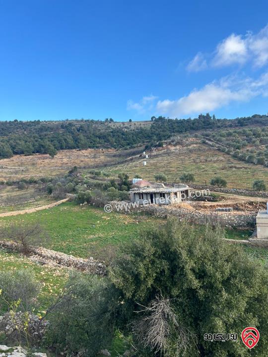 ارض مساحة 1 دونم و 982م للبيع في عجلون عنجرة سرابيس