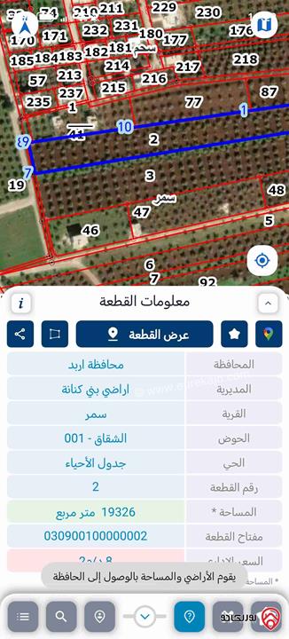 أرض مزروعة زيتون مساحة 19 دونم و 934م للبيع في اربد - سحم
