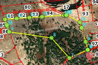 ارض (91) دونم للبيع في عجلون – دير البرك – غرب شطنا