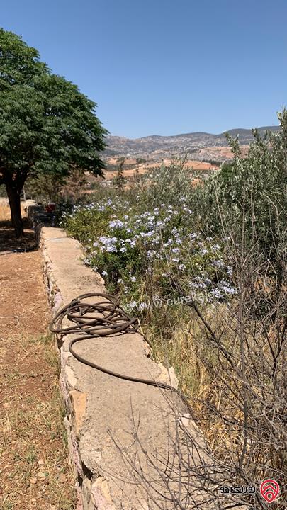 مزرعة مساحة الأرض 2 دونم للبيع بدون منزل في جرش حي الجبارات