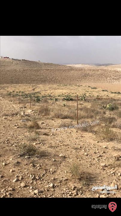 قطعة ارض مساحة 29 دونم للبيع في مادبا - ذيبان