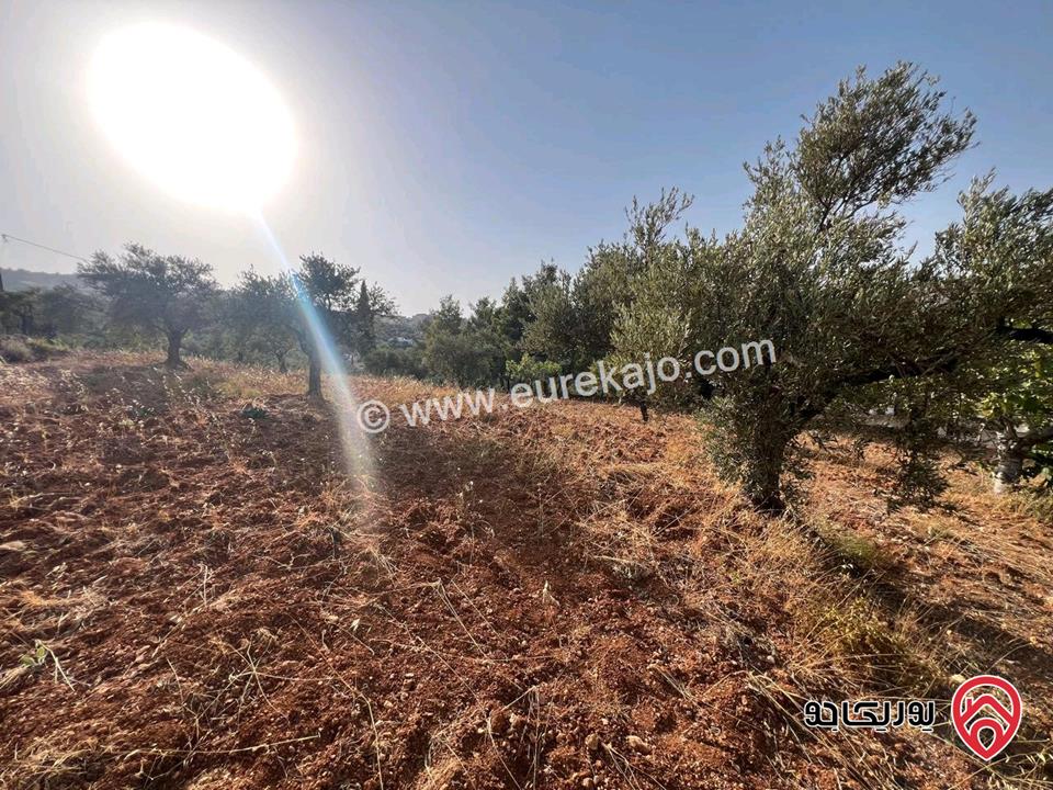 قطعة أرض ريفية مساحة 7 دونم للبيع في في جرش سوف حوض بيدر الحمص 
