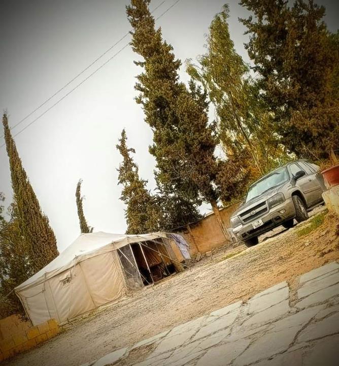 عشق بدوي