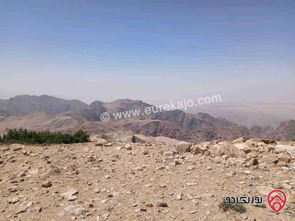 قطعة أرض مساحة 7 دونم و 500م للبيع في لواء الشوبك - قرية الجهير