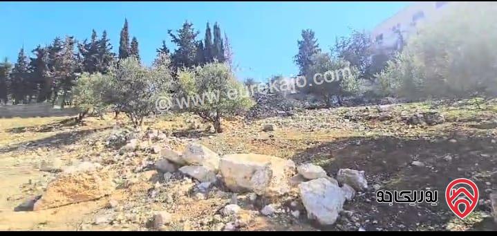 قطعة ارض سكن ب مساحة 1 دونم و 684م للبيع في عمان - خلدا