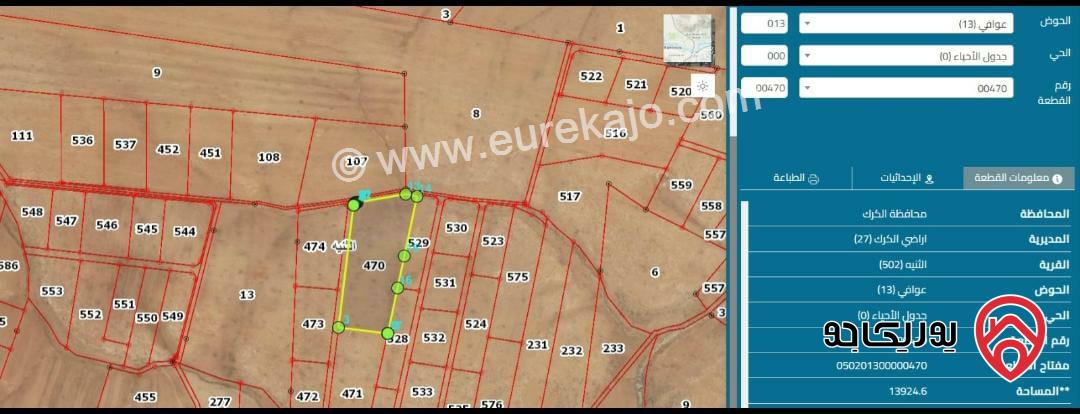 أرض مساحة 13925م للبيع في الكرك - الثنية 