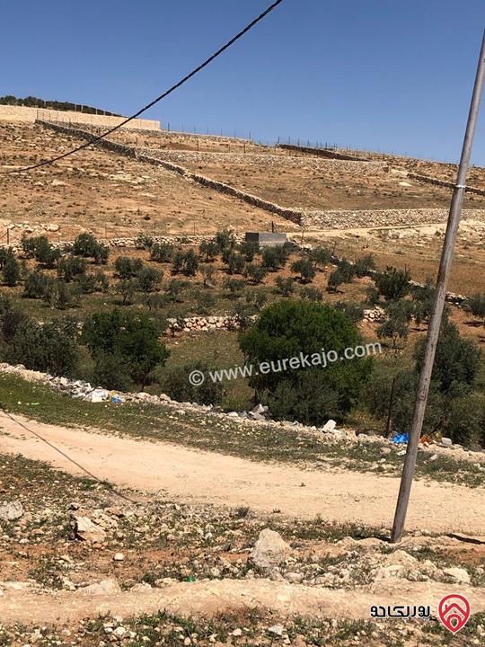 ارض مساحة 4 دونم للبيع في المفرق - بلعما - عين والمعمرية 