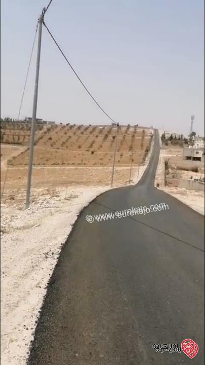 ارض مساحة 4 دونم للبيع في المفرق - بلعما - عين والمعمرية 