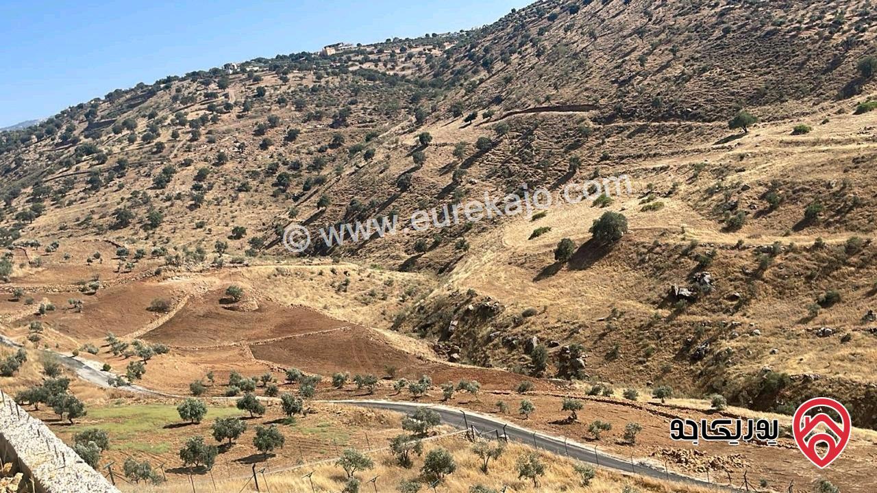قطعة ارض مساحة 5 دونم للبيع في منطقة السلط الصبيحي 