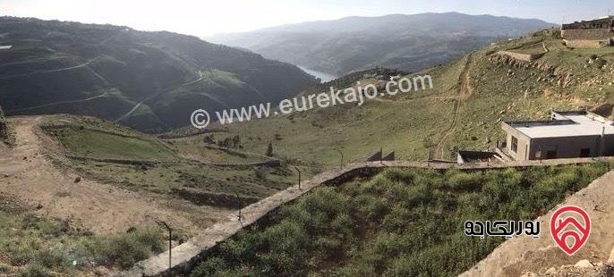 قطعة ارض تصلح لبناء شاليه مساحة 1 دونم و 483م للبيع في جرش