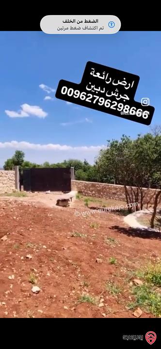 قطعة ارض مميزة مساحة 1 دونم للبيع في جرش - دبين