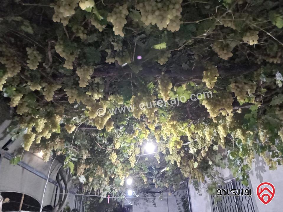بيت مساحة 420م على أرض 432م للبيع في عمان - خريبة السوق ضاحية الامير علي