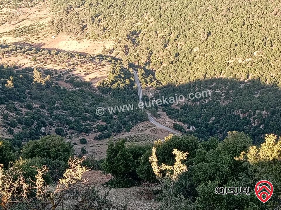 أرض مميزة مساحة 2 دونم للبيع في محافظة عجلون منطقة عنجرة / خربة الحنيش الأثرية 