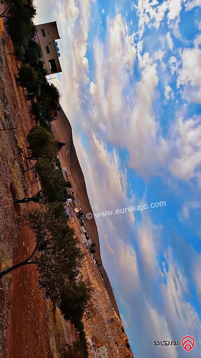 قطع أراضي بمساحات من 450م - 500م للبيع في الزرقاء - بيرين