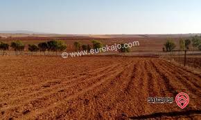 ارض سكني مساحة 1 دونم و 42م للبيع في عمان - القسطل حوض جدار البلد حي الفيحاء بسعر مغري 