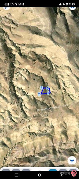 أرض مساحة 8 دونم للبيع في عمان - بدر الجديدة حوض حمرة الزيود