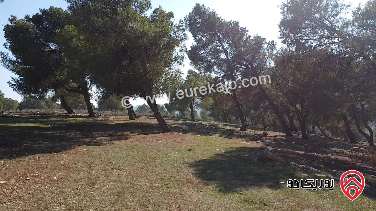 ارض مساحة 2 دونم للبيع في أرقى مناطق جرش عنيبه اسكان المهندسين بالقرب من معالي سعد جابر