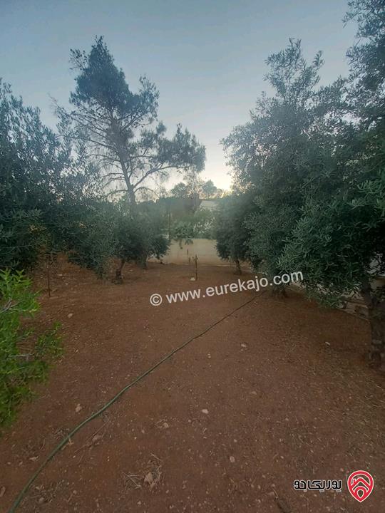 فيلا مساحة 500م على أرض 1900م للبيع في عمان - منطقة ام الدنانير 