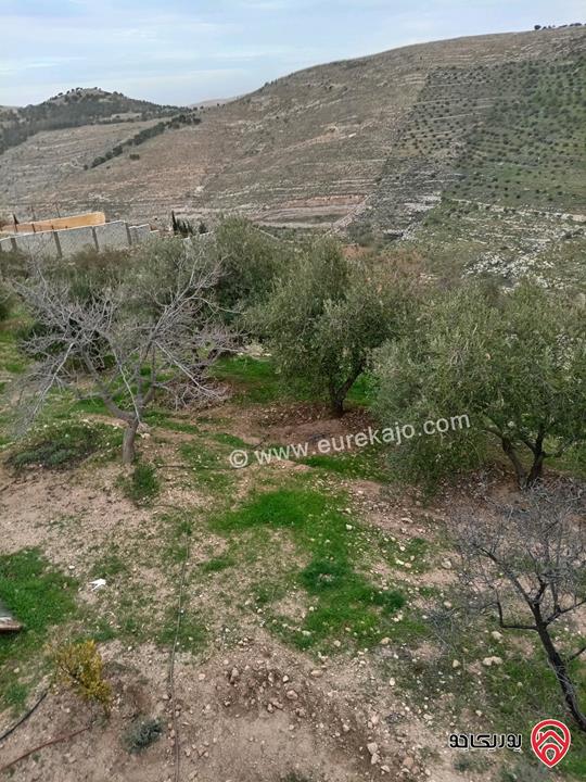 قطعة أرض مساحة 10 دونم و 704م للبيع في الزرقاء - بيرين