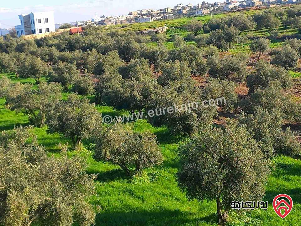 أرض مساحة 20 دونم و 322م للبيع في اربد - كفر رحتا