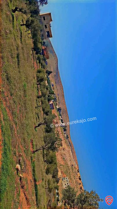 قطع أراضي بمساحات من 450م - 500م للبيع في الزرقاء - بيرين