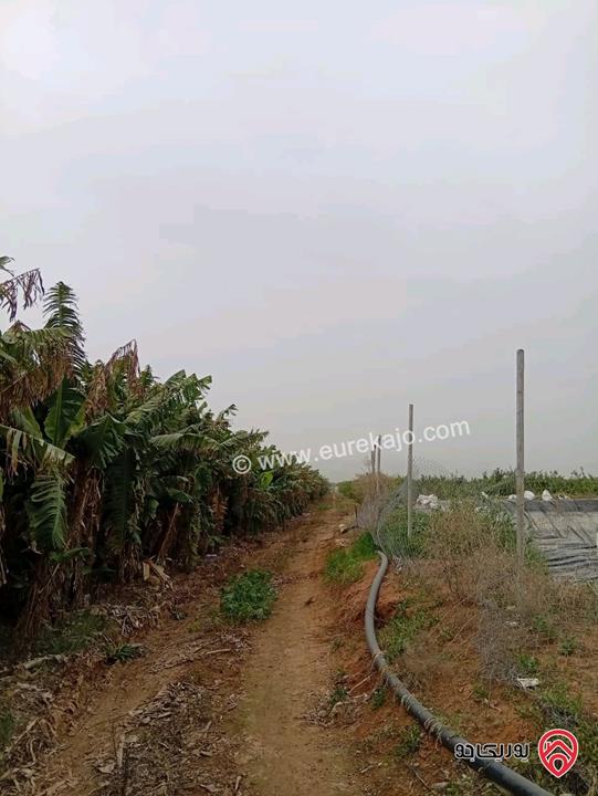 قطعة ارض مساحة 3 دونم و 400م للبيع في اربد - الأغوار الشمالية 