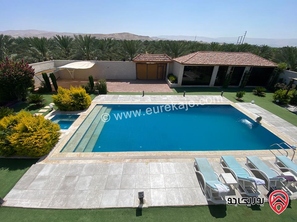 مزرعة Palm Paradise Farm للايجار اليومي في البحر الميت