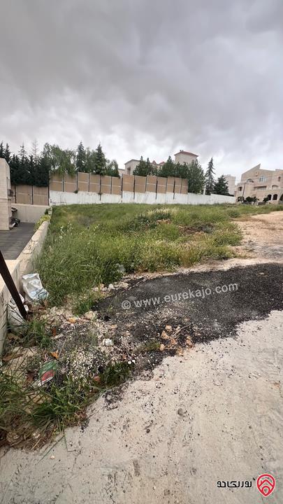 قطعة أرض مساحة 2 دونم للبيع في عمان - دابوق 