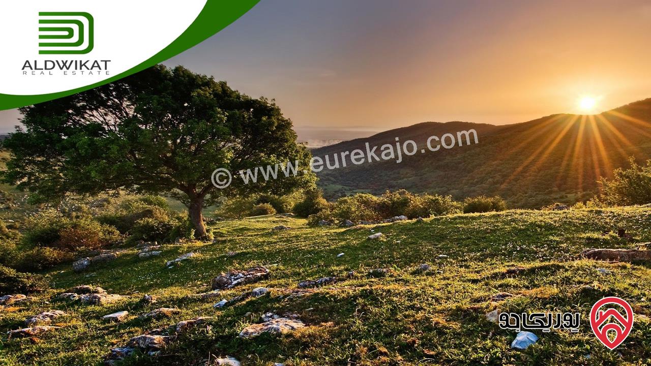 ارض مساحة 2 دونم للبيع في عمان - بدر الجديدة حوض الحديب 