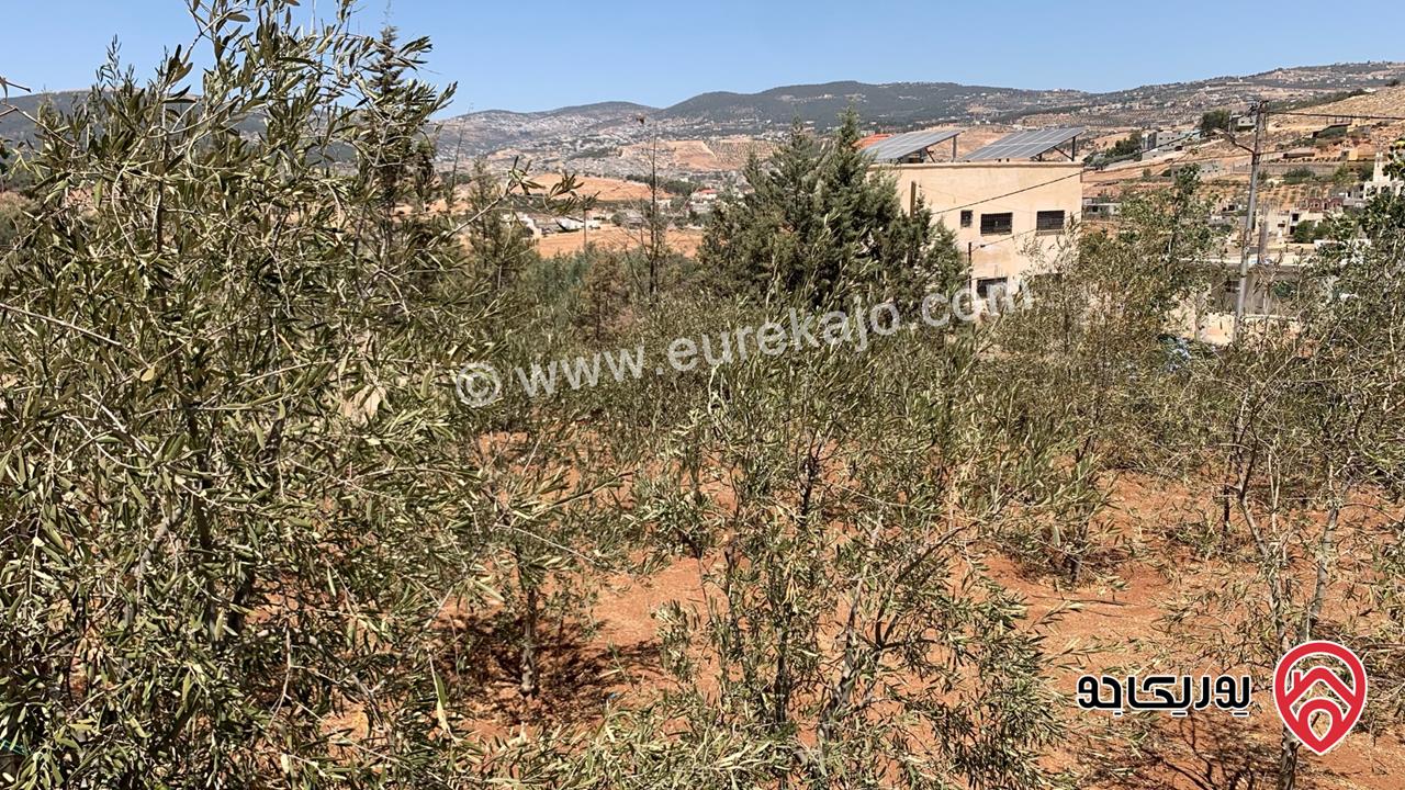 مزرعة مساحة الأرض 2 دونم للبيع بدون منزل في جرش حي الجبارات