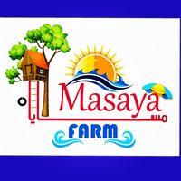 Masaya farm 