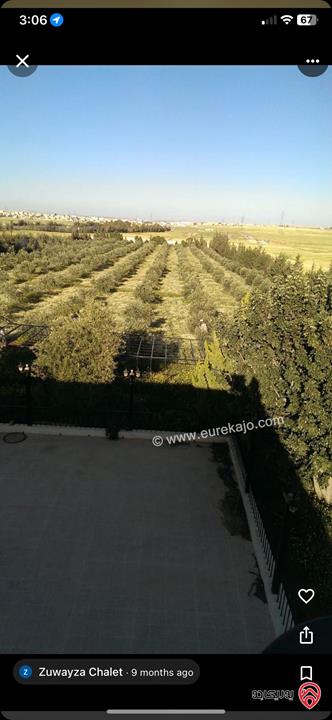 مزرعة مساحة 10 دونم مشجرة زيتون مع بيت مساحة 200م وسكن حارس وسور على كامل المزرعة للبيع في عمان - منطقة زويزا 