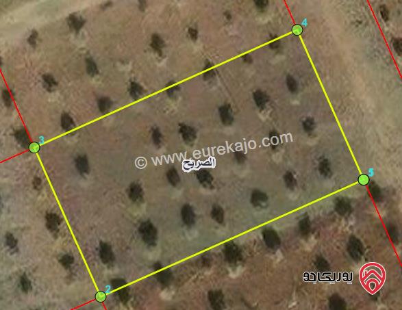 ارض مساحة 1590م للبيع في اربد - من اراضي الصريح ضمن المسرب الجنوبي 
