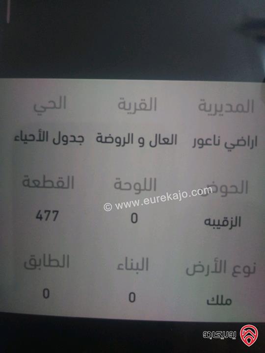 قطعتين أرض مساحة 500م لكل قطعة للبيع في عمان - ناعور- الروضة