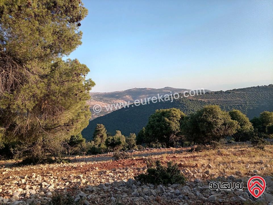 أرض مميزة مساحة 2 دونم للبيع في محافظة عجلون منطقة عنجرة / خربة الحنيش الأثرية 