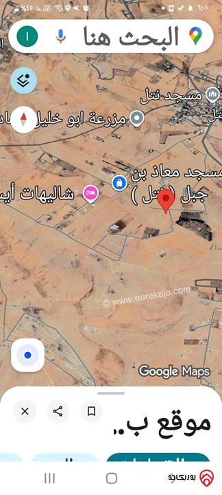 أرض مساحة 10 دونم للبيع من اراضي جنوب عمان - نتل حوض الربابه