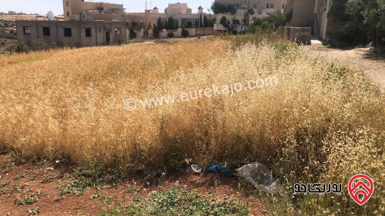أرض مساحة 739م للبيع في مادبا - الفيحاء الجازل 