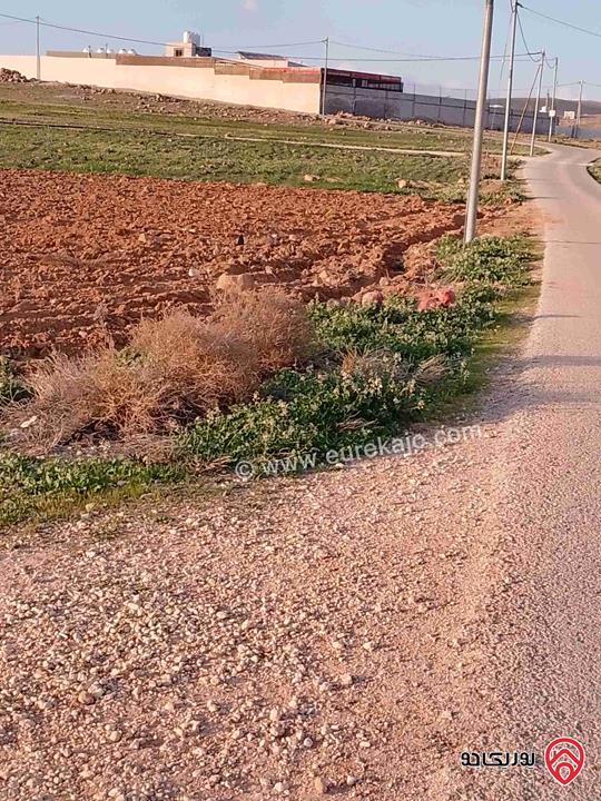 قطةه ارض مساحة 3 دونم و 400م للبيع في المفرق - لواء بلعما شرق الزيتونه 