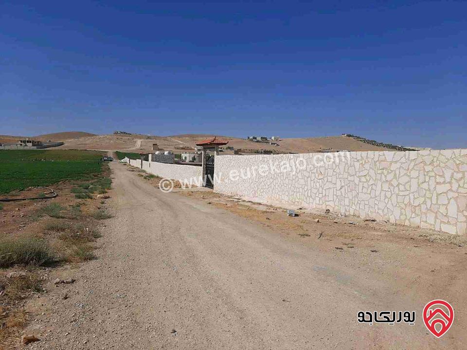 مزرعة مساحة 6 دونم للبيع في المفرق - منطقة الزيتونة 