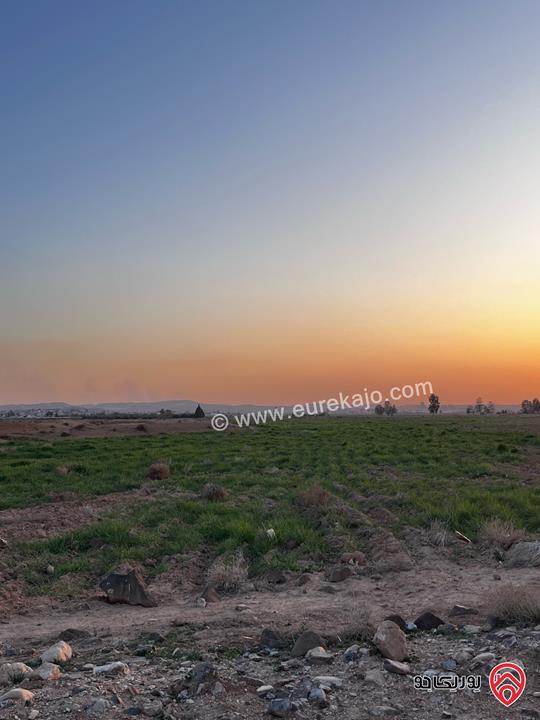 من المالك مباشرة وحدتين زراعيات مساحة 58 دونم للبيع في الزرقاء 