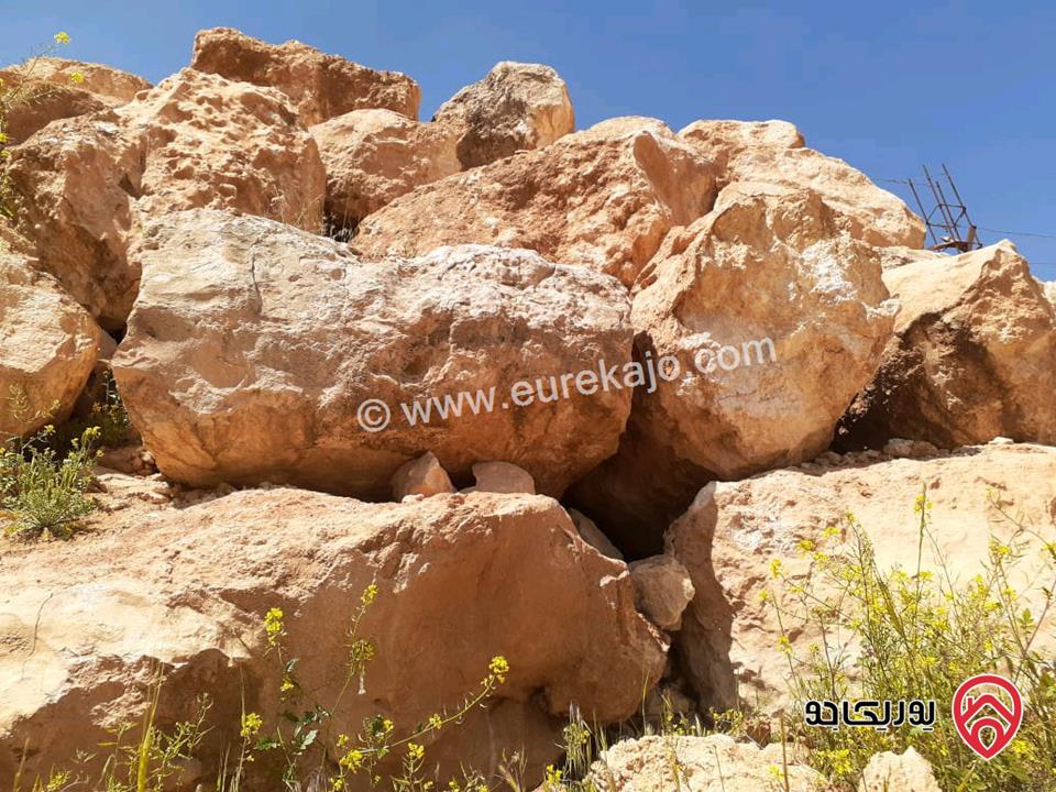 مزرعة نظام شاليه مساحة الأرض 7 دونم والبناء 140م للبيع في المفرق حمامه العموش 