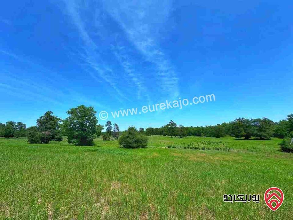 ارض مساحة 694م للبيع من اراضي جنوب عمان - ابوعلندا