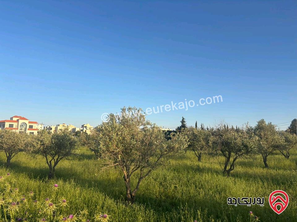 قطعة أرض مساحة 812م للبيع في مادبا - الخطابية 