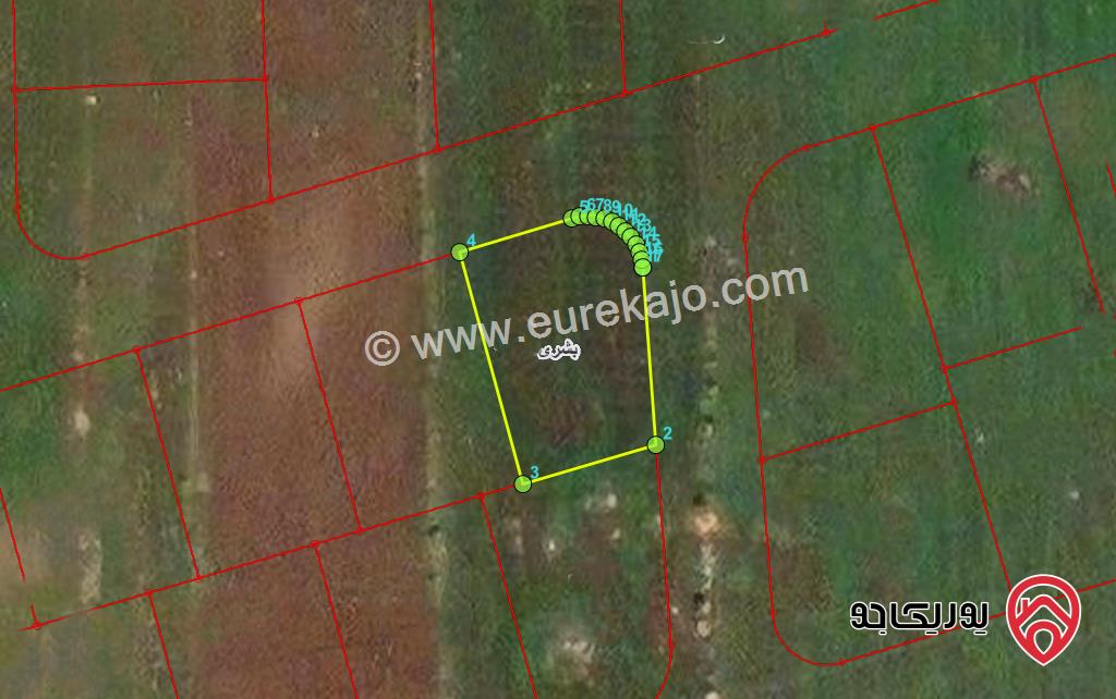 قطعة ارض مساحة 505م للبيع في اربد - بشرى بالقرب من مدرسة فاطمة بنت اليمان 